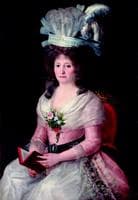 Portrait of a Lady