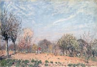Apple Trees in Flower, Spring Morning