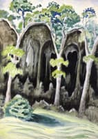 In the Deep Woods