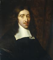 Portrait of Johan de Witt