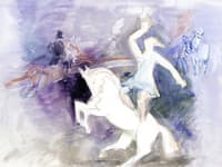 The Rider