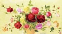 Bouquet of Roses