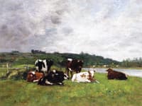 Cows at Pasture