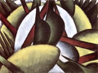 Plant Forms
