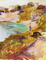 Trees by the Mediterranean