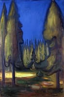 Dark Spruce Forest