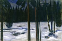 Winter Forest