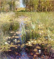 Waterlilies