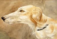 A Portrait Of A Borzoi