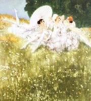 Summer Dreams