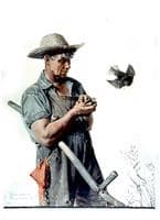 Farmer