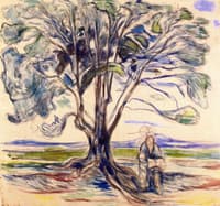 Old Man Sitting under a Tree