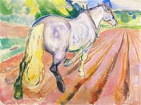 White Horse Seen from the Rear