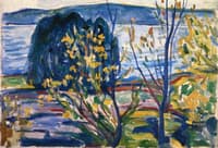 Fjord Landscape