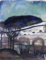 Winter Night