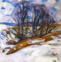Thawing Snow