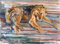 Airdale Terrier