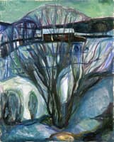Winter Night