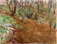 Elm Forest in Spring