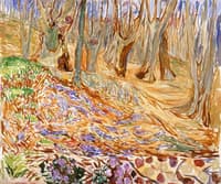 Elm Forest in Spring