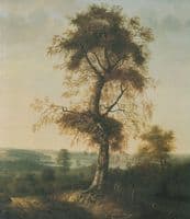Birch in Autumn Landscape