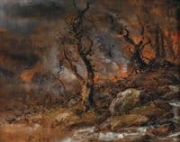 Forest Fire Glows