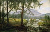 Northern Landscape