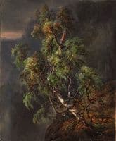 Birch Tree in a Storm
