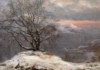 Birch Tree in Winter