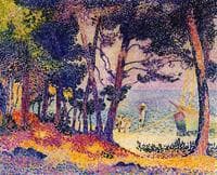 A Pine Wood, Provence