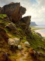 Rugged Pasture
