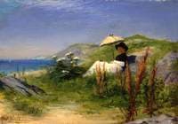 The Parasol