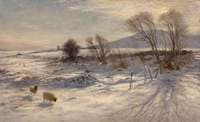 When snow the pasture sheets