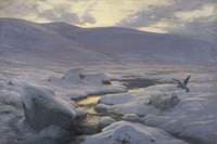 The Weary Waste of Snow