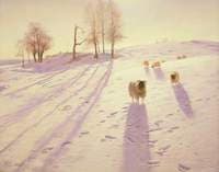 When Snow the Pasture Sheets