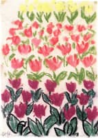 Bed of Tulips