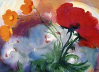 Poppies