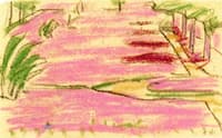 Crocus Blossom
