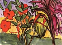 Hibiscus and Red Shrubs