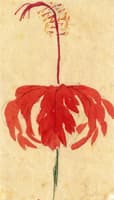 Red Leaves with Blossoms