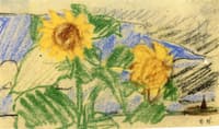 Yellow Sunflowers