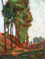Poplars along a Trail