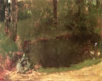 Pond in the Forest