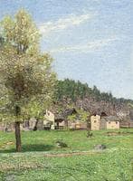 Village next to the Vigezzo valley