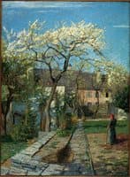 Cherry Tree in Blossom