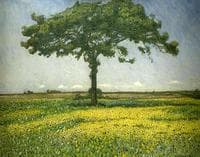 Young Oak