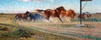 Freed horses