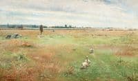 Landscape with geese, Morbylanga