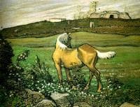 A Yellow Horse