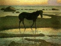Horse at the Beach